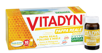 VITADYN PAPPA REALE 1000 10 FLACONCINI 10 ML - Farmastop
