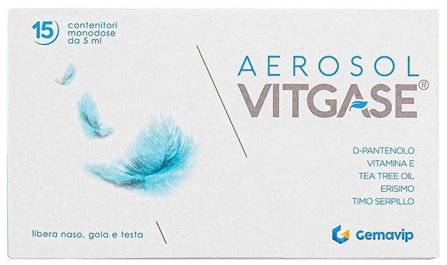 VITGASE AEROSOL 15 FLACONCINI 5 ML - Farmastop