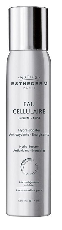 INSTI EAU CELLULAIRE BRUME 100 ML - Farmastop
