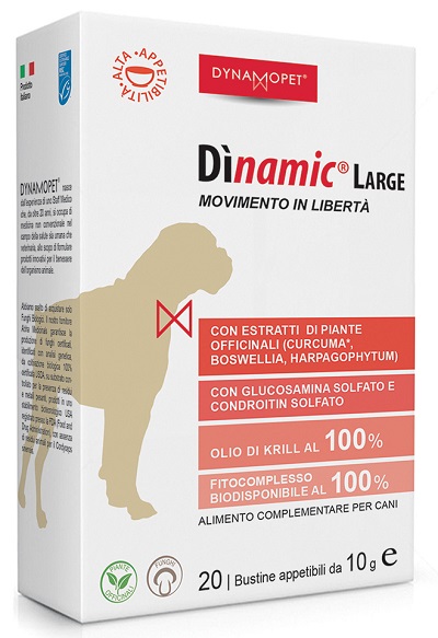 DINAMIC LARGE 20 BUSTINE 10 G - Farmastop