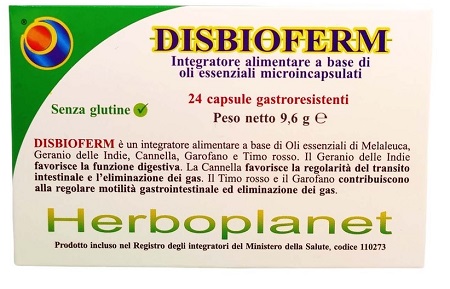 DISBIOFERM 24 CASPULE - Farmastop