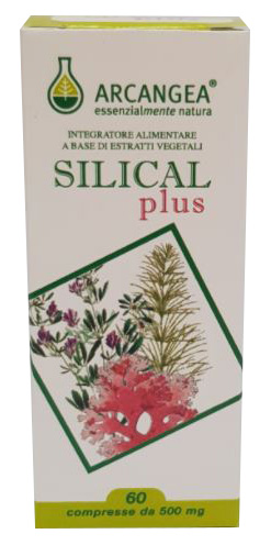 SILICAL PLUS 60 COMPRESSE - Farmastop