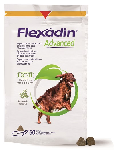 FLEXADIN ADVANCED 60 TAVOLETTE APPETIBILI MASTICABILI PER CANI - Farmastop