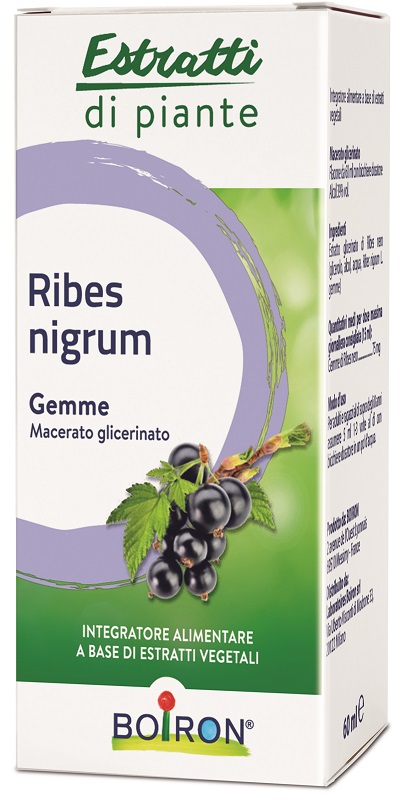 RIBES NIGRUM MACERATO GLICERICO 60 ML INT - Farmastop
