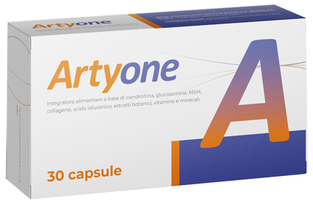 ARTYONE 30 CAPSULE - Farmastop