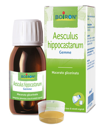 AESCULUS HIPPOCASTANUM MACERATO GLICERICO 60 ML INT - Farmastop