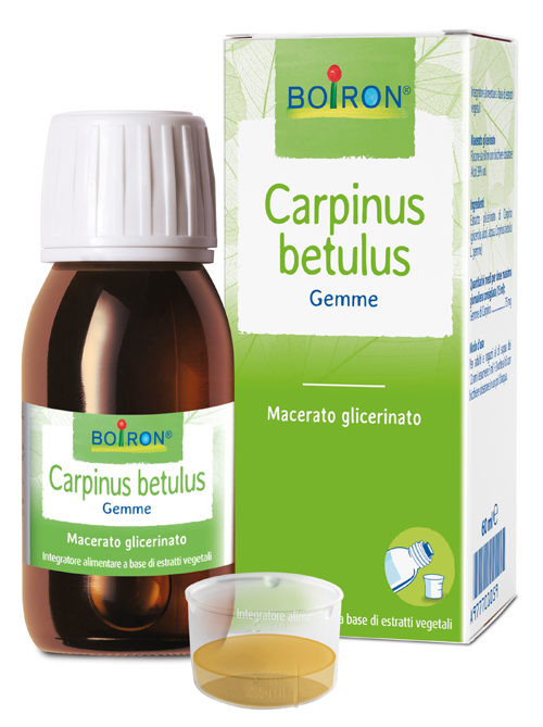 CARPINUS BETULUS MACERATO GLICERICO 60 ML INT - Farmastop