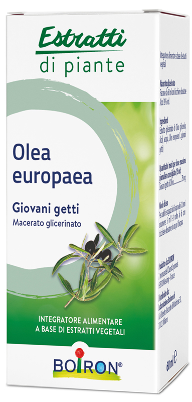 OLEA EUROPAEA MACERATO GLICERICO 60 ML INT - Farmastop