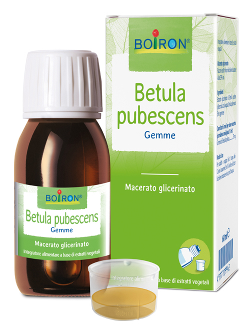 BETULA PUBESCENS MACERATO GLICERICO 60 ML INT - Farmastop