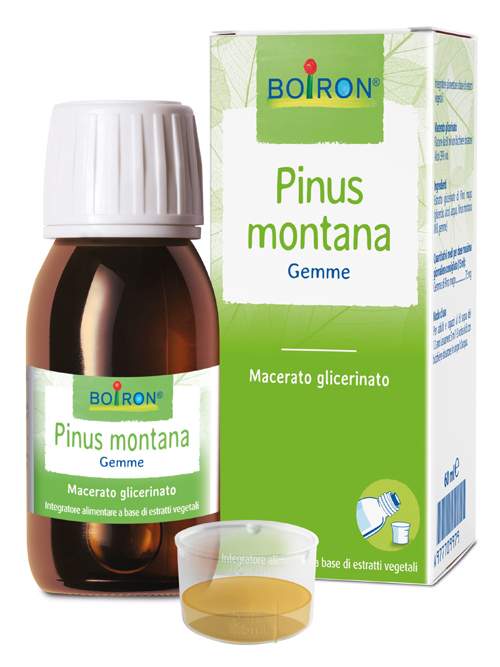 PINUS MONTANA MACERATO GLICERICO 60 ML INT - Farmastop