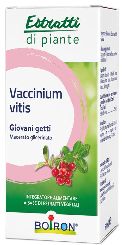 VACCINIUM VITIS MACERATO GLICERICO 60 ML INT - Farmastop