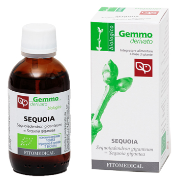 MACERATO GLICERINATO SEQUOIA BIO 50 ML - Farmastop