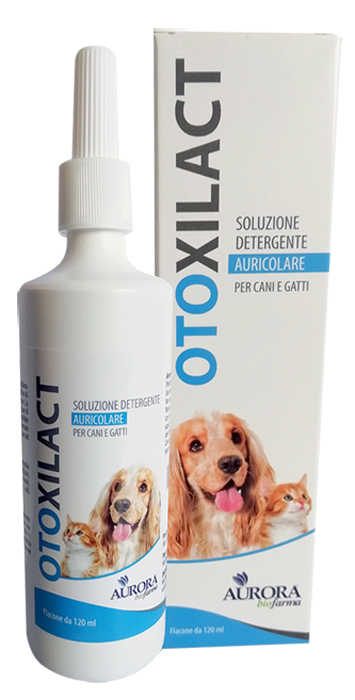 OTOXILACT DETERGENTE AURICOLARE - Farmastop