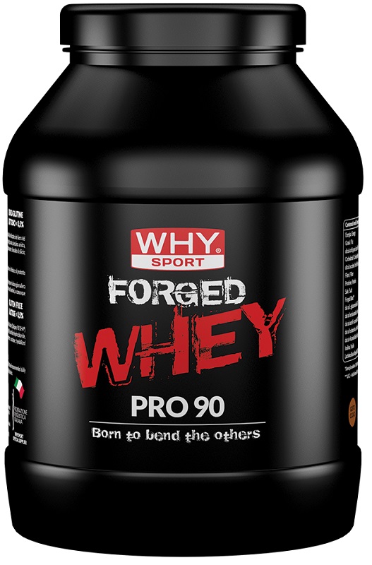 WHYSPORT FORGED WHEY CACAO 900 G - Farmastop