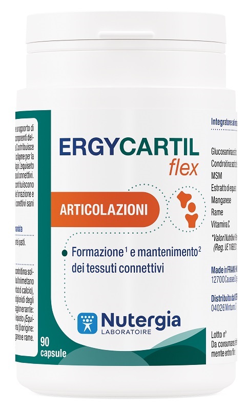 ERGYCARTIL FLEX 90 CAPSULE - Farmastop