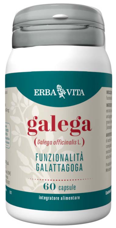 GALEGA 60 CAPSULE - Farmastop