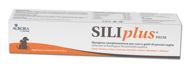 SILIPLUS PASTA 30 G - Farmastop