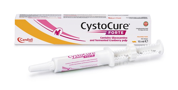 CYSTOCURE FORTE PASTA 15 ML - Farmastop