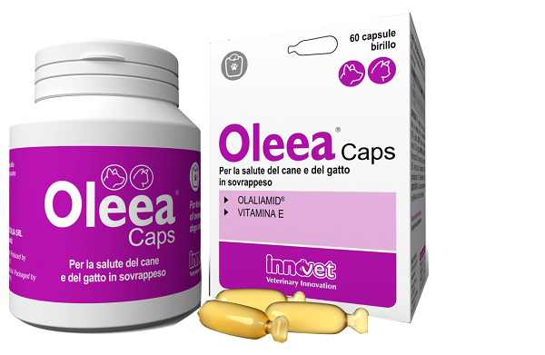 OLEEA CAPS 60 CAPSULE - Farmastop