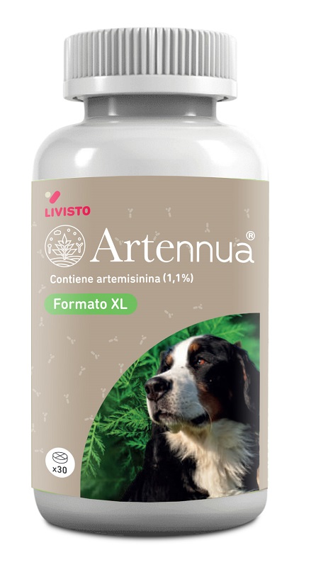 ARTENNUA XL 30 COMPRESSE - Farmastop